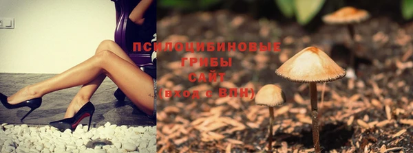 соль курить ск Бугульма