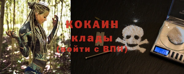 прущие грибы Богородск