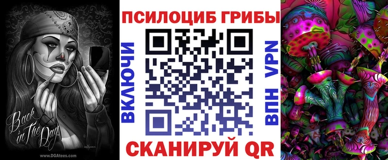Псилоцибиновые грибы Cubensis  где найти наркотики  Данков 